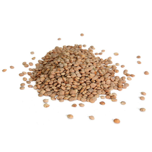Lentils, organic - 2,5kg