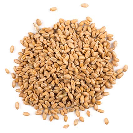 Spelt grain (hulled), organic - 25kg
