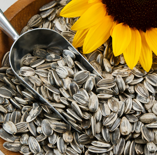 Sunflower Seeds, organic, 200g