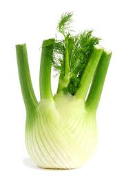Fennel, green, sweet, whole, organic, 100g
