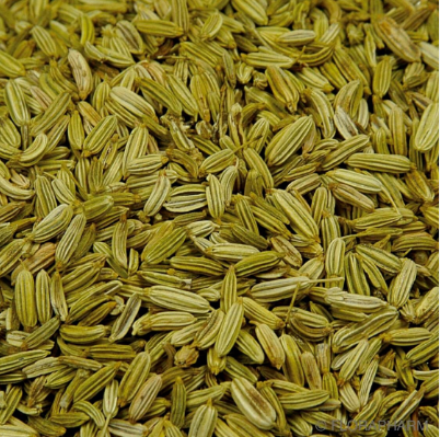 Fennel, green, sweet, whole, organic, 100g