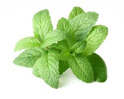 Peppermint leaves, organic, 25g