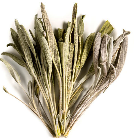 Sage, organic, 40g