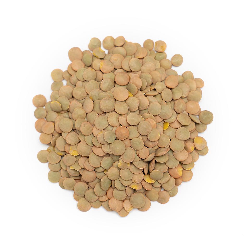 Lentils, organic, 500g