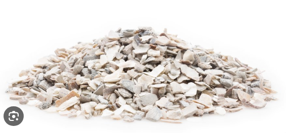 Oyster Shells AS Premium - 25kg