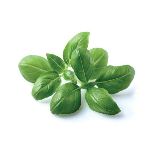 Basil (frozen, shredded), organic - 1kg