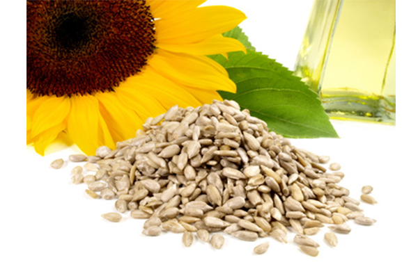 Sunflower Seeds (peeled), organic - 2,5kg