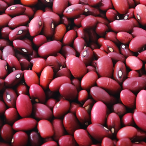 Beans (red), organic - 25kg